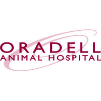 Oradell Animal Hospital logo - Similar company to P3 Training Group
