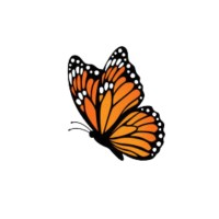 FAR Marketing Digital logo - Similar company to Contextual Links