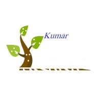 OOO “Kumar Additives ” logo - Similar company to R Group Llc