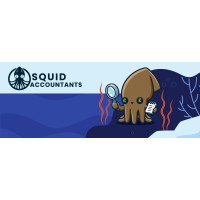 Squid Accountants LTD logo - Similar company to Geronimo Sailing Ltd