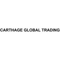 CARTHAGE GLOBAL TRADING logo - Similar company to The Deep Business From Rym Tounsi