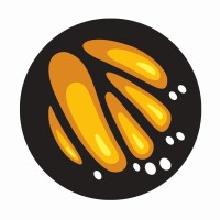Chrysalisto Group logo - Similar company to Impact Draft