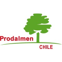Prodalmen logo - Similar company to Barco Graphics