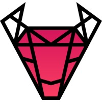 2N IT logo - Similar company to Rorvswild