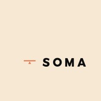 SOMA HS logo - Similar company to Agepi.Io