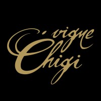 Vigne Chigi logo - Similar company to Chigivesback, Inc