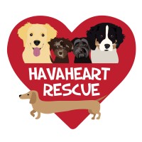 HavaHeart Rescue logo - Similar company to Second Chance Ranch Rescue