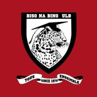 Cercle Biso Na Bino Asbl (Binabi) logo - Similar company to Nevaeh