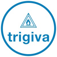 Trigiva logo - Similar company to Executive Management Consulting Srl