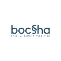 Bocsha Egypt
