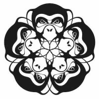 Bonobo Social
