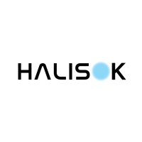 Halisok logo - Similar company to Custom365