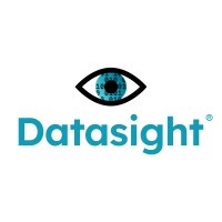 Datasight® logo - Similar company to Datasight