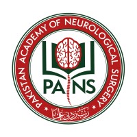 Pakistan Academy of Neurological Surgery (PANS) logo - Similar company to Pasno