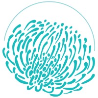 DelaudStudio