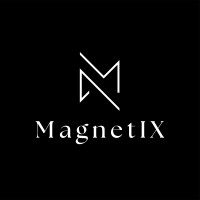 MagnetIX logo - Similar company to Portfolio Analytics Society