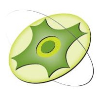 Spinon As