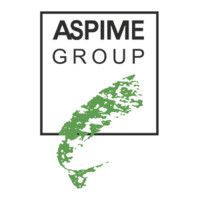 Aspime Group logo - Similar company to Dmconsultants
