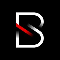 Blackwire Labs logo - Similar company to Witfoo