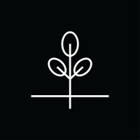 Projekt Indigo logo - Similar company to Loré