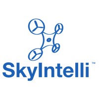 Skyintelli, Inc. logo - Similar company to Skyline Software Systems