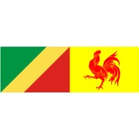 Consulat de la République du Congo en Wallonie logo - Similar company to Polas Services