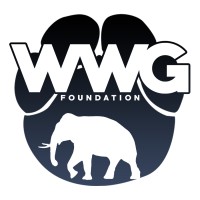 Elephant Tracks Foundation logo - Similar company to Remember The Wild