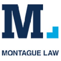 Montague Law PLLC logo - Similar company to Litigation-Tech: 