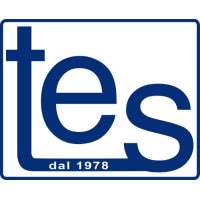 TES The English School logo - Similar company to Tes Lingue Online