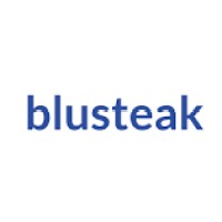 blusteak- logo - Similar company to Blusteak Academy