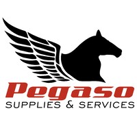 Pegaso Supplies & Services, C.A.
