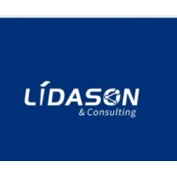 LIDASON Consulting logo - Similar company to Amhired.Com