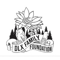 DLX Family Foundation logo - Similar company to Deployed Logix