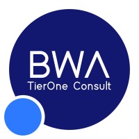 BWA TierOne Consult logo - Similar company to Kosher Group