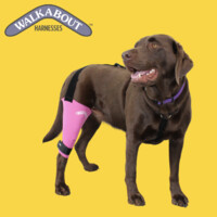 Walkabout Harnesses, Llc