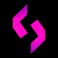 Nervosys logo - Similar company to Dsr Engineering Pc