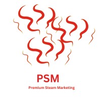 Premium Steam Marketing Agency logo - Similar company to Mach Management Solutions
