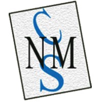 Nakul Malik Consultancy Services logo - Similar company to Work Desk Solution