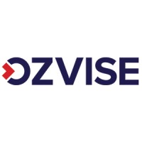 Ozvise Consulting logo - Similar company to Mapex Consulting