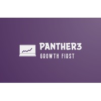 panther3 logo - Similar company to Pmx Solutions
