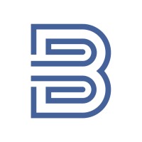 Bravo Lion Marketing logo - Similar company to Devspace Technologies
