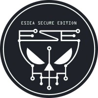 ESIEA Secure Edition - ESE logo - Similar company to Kernel Panic Systems (Kps)