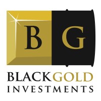 Black Gold Investments logo - Similar company to Bath Code
