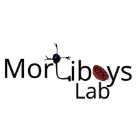 Mortiboys Lab logo - Similar company to Mitotype Precision Labs