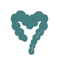 Belly Balance logo - Similar company to Objective