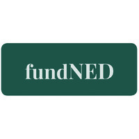 fundNED Partners logo - Similar company to Dirigeantes, Leadership Au Féminin