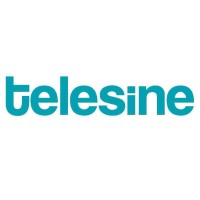 Telesine Productions logo - Similar company to Wegobi Studio