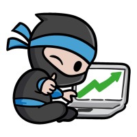 Network Ninja LLC logo - Similar company to Dandaro Online