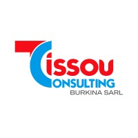 TISSOU CONSULTING BURKINA SARL logo - Similar company to Group Girafe X