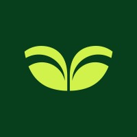 Duetti logo - Similar company to Rostrum Pacific